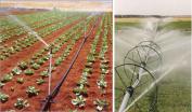Figure 4: Sprinkler irrigation. Source: product-image.tradeindia.com